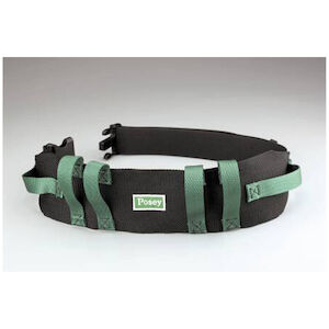 BELT TRANSFER ECONO POSEY